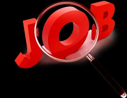 أبحث عن فرصة عمل أطور من خلالها مهاراتي وأسهم في نجاح فريق العمل.