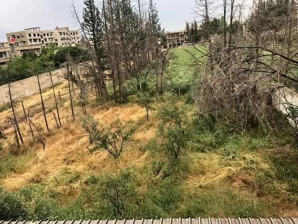 صورة من إعلان: السبينة (1)