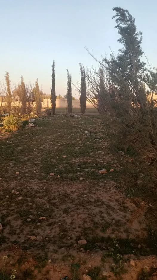 صورة من إعلان: عادلية (1)