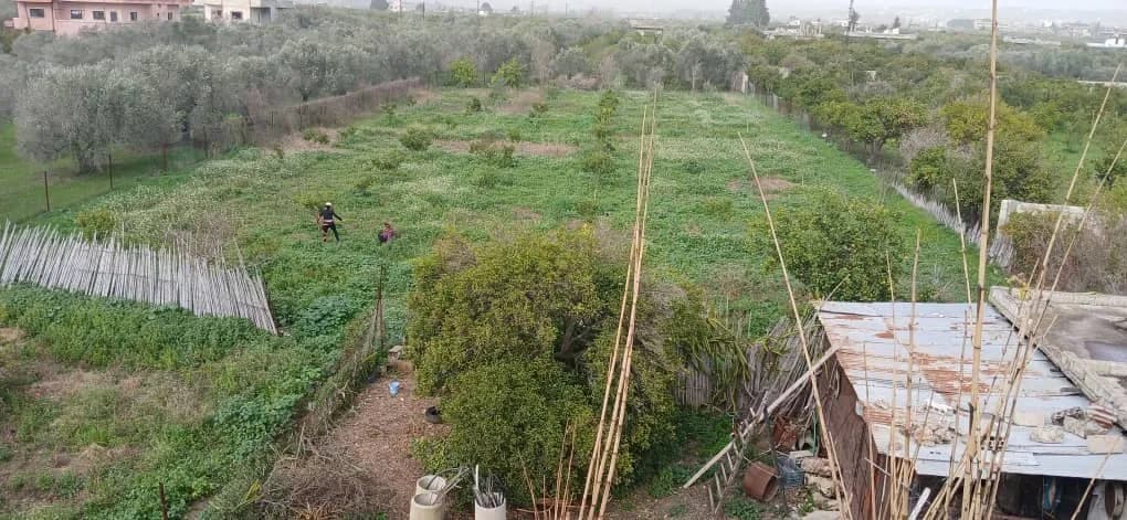 صورة من إعلان: 0933119582 (1)